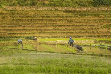 _DSC6111