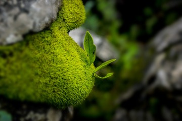 _DSC5934
