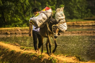 _DSC6202