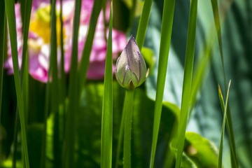 _DSC4378
