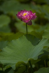 _DSC4361