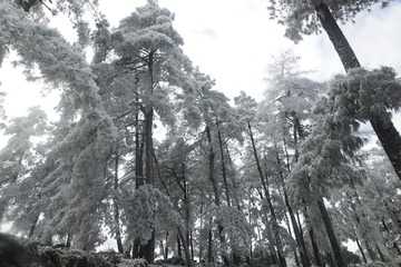 _DSC5796