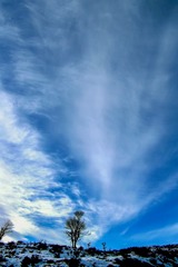 0 (20).jpg 