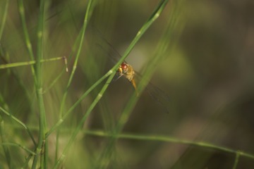 _DSC5157