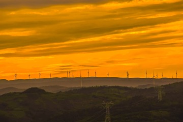 _DSC5139