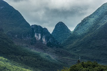 _DSC5208