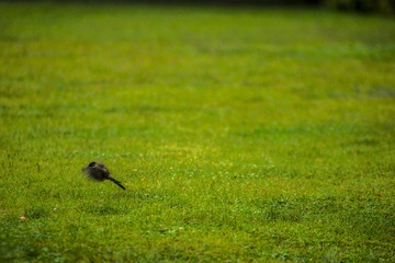 _DSC6343