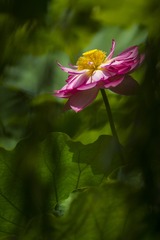 _DSC4366