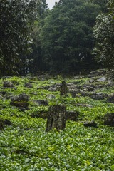 _DSC5887