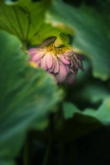 _DSC4346
