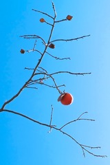 P1080211-1