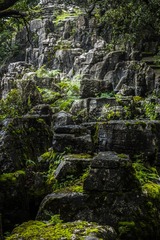 _DSC5908