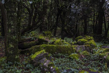 _DSC5888