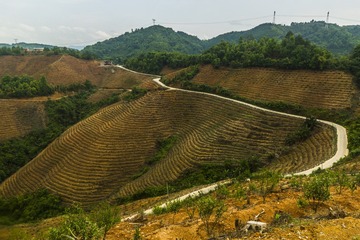山峦、梯田 (10)