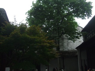 13080