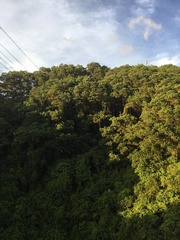 91D72ED8-23D3-4000-851E-0D55E81FE823/L0/001