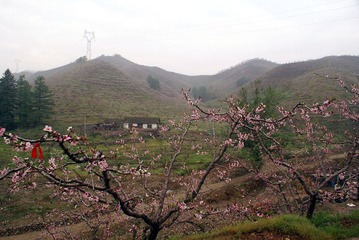 DSC04133.Ajpg.jpg