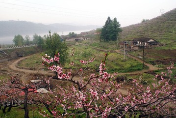 DSC04142A.jpg