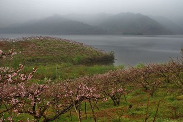 DSC03954.Ajpg.jpg