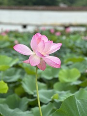 8B70EB88-D8F0-4BBD-8B3D-7CCDB6150C86/L0/001