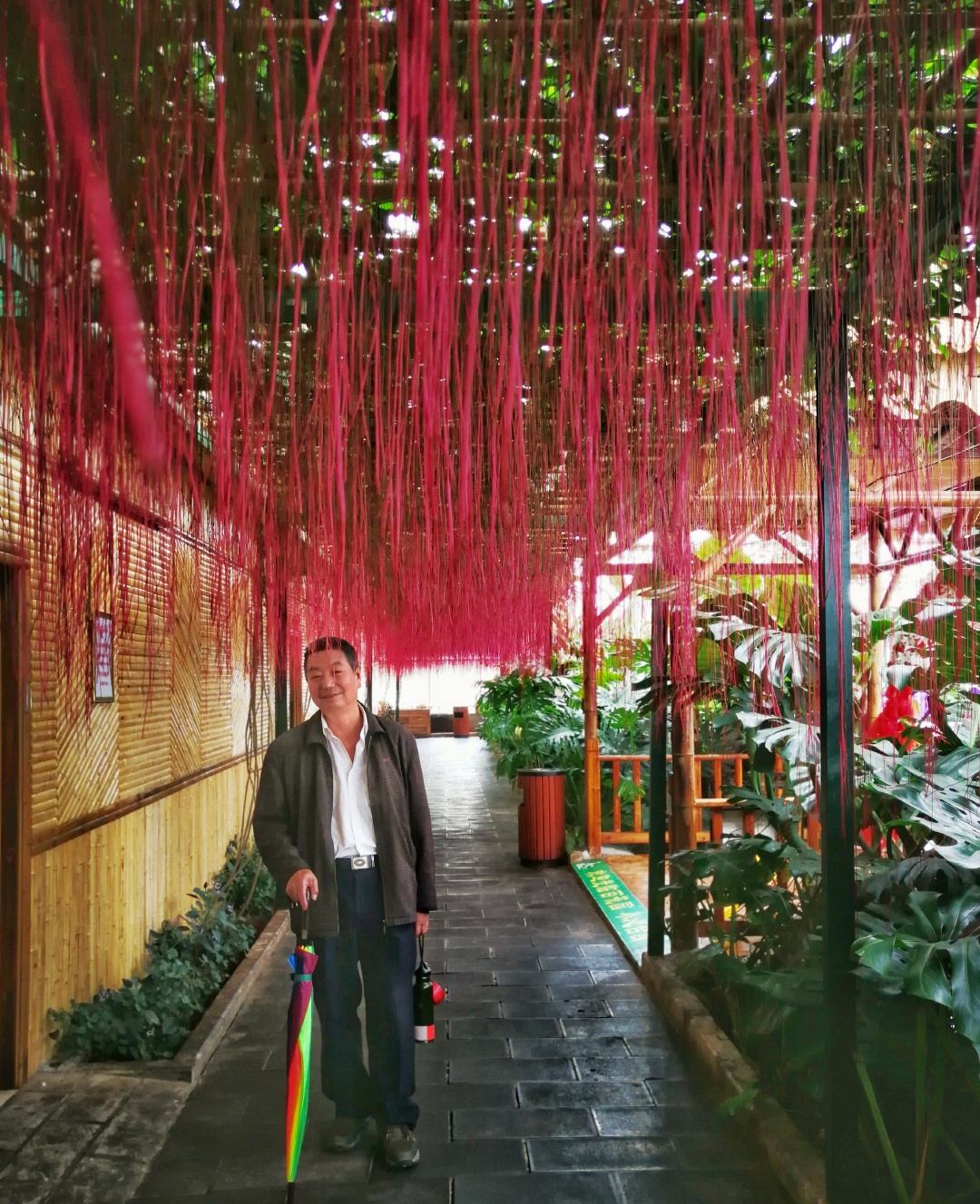 红运当头华为p10拍摄于昆明呈贡百花园人物头顶是一种植物气根呈暗