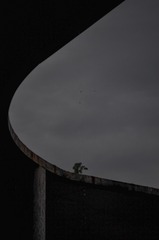 236852