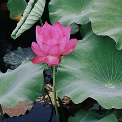 99F75499-83F1-40E0-A6AB-3759F23982B6/L0/001