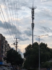 1000003107