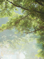B38CB8D7-529A-4D78-877B-9461E0EB6AB6/L0/001