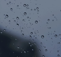 366959AA-73B3-49AA-9018-BE12DF510844/L0/001