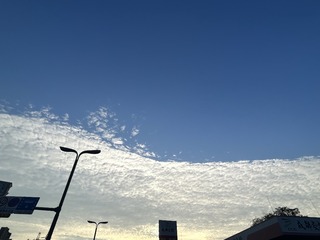 0FBD0E3E-D5C6-4AC7-BEB9-7260F7E57471/L0/001
