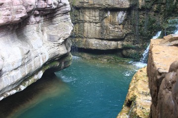 IMG_3078.jpg