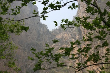 IMG_3188.jpg