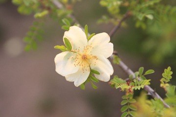 IMG_3433.jpg