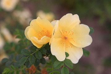 IMG_3456.jpg