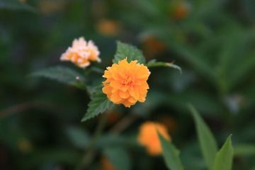 IMG_3448.jpg