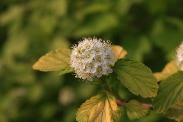 IMG_3343.jpg