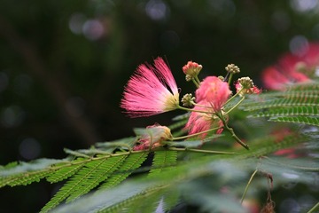 IMG_3644.jpg