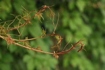 IMG_3690.jpg