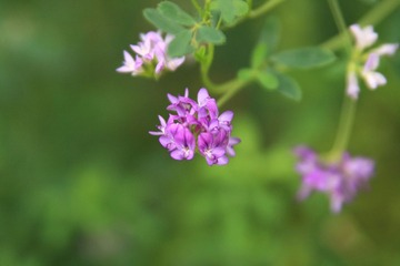 IMG_3693.jpg