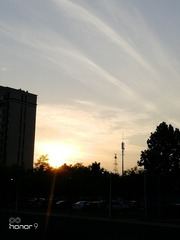 1406422