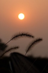 基地-2.jpg