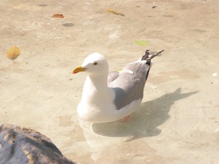 2004065
