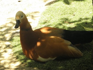 2004534