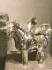 1000029347