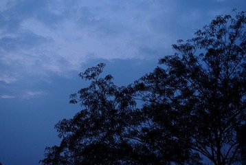 1000153484