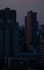 1000030229