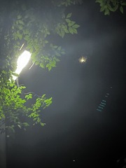 2533E82B-675B-46C3-A3A7-B5B08BD293CA/L0/001