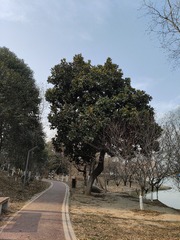 1000067094