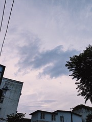 1000058254
